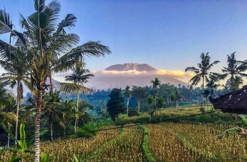 Dana Bali Ricefield Villa