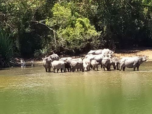 Hostal Khum Thong Resort