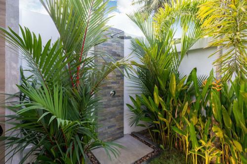 La Belle Pool Villa Phuket - Tropical Modern Living