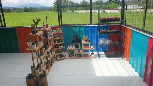 Baanlungchuhomestay