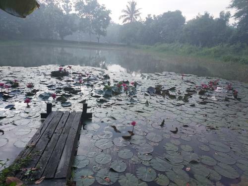 Village Homestay
