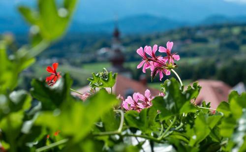 Hostal Hotel Garni Fr�hst�ckspension Neff