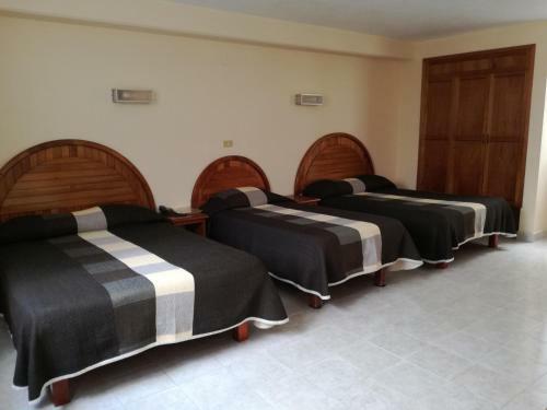 Hotel Citlalli