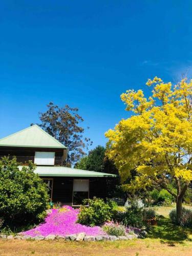 Pemberton Forest View Retreat
