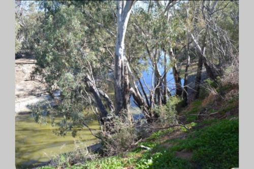 Wallies Cottage On The Darling
