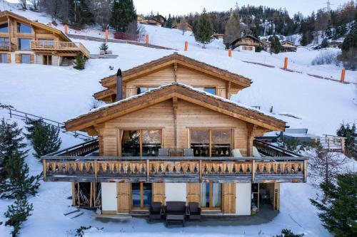 Chalet Le Grand Ours