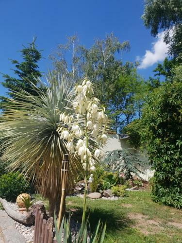 Agroturismo Farm Stay NH Stables