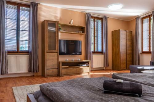 Apartm�ny V Ml�nsk� Strouze