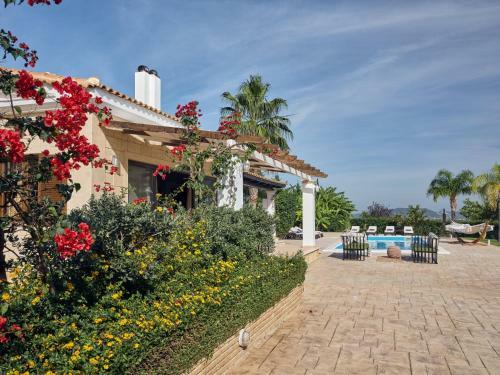 Astarte Villas - The Villa In Olive Grove