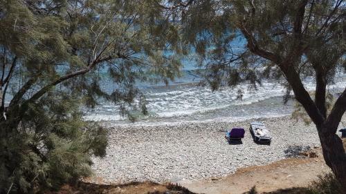 Flora's Beach And Pool Villa In Syros
