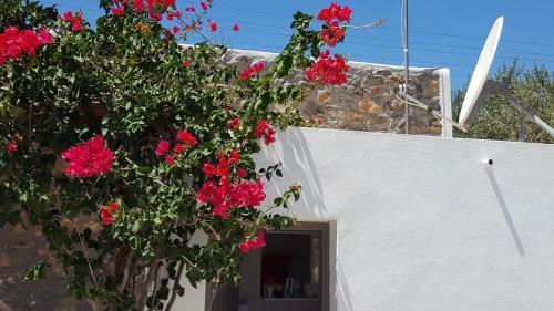 Flora's Beach And Pool Villa In Syros