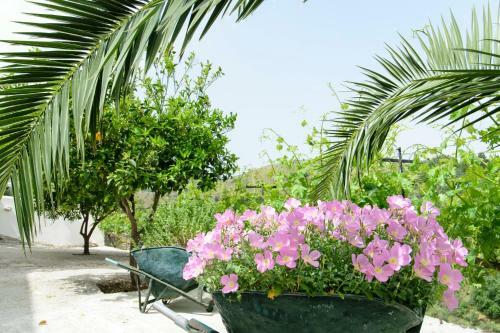 Agroturismo Aoria Traditional House