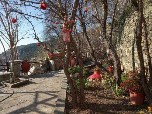 Makrinitsa Historical-traditional Renovated House