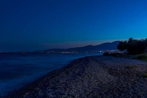 Villa Maria?s Mansion 3 M From The Sea