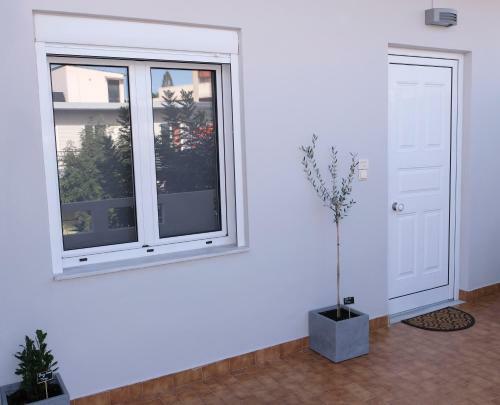 Apartamento The Project Suite