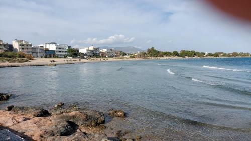 Apartamento Dolphin 1