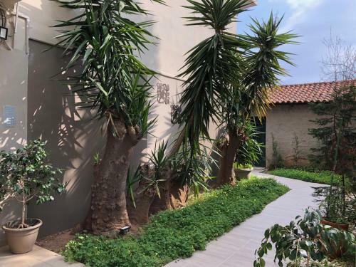 Apartamento Lemon Tree Suites Near The Airport