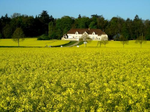 Bed & Breakfast Domaine De La Maison Neuve