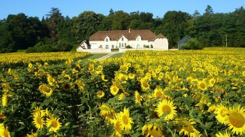 Bed & Breakfast Domaine De La Maison Neuve