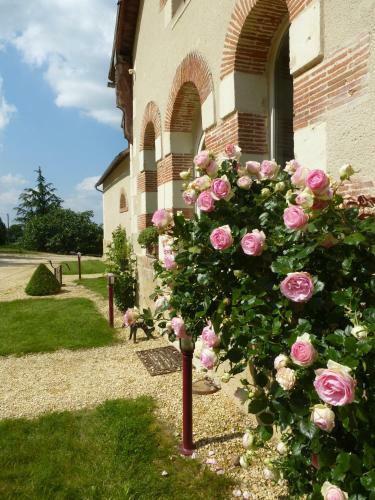 Bed & Breakfast Domaine De La Maison Neuve