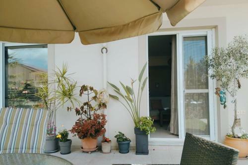 Apartamento Xrysa's Garden