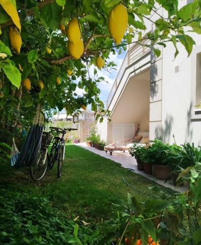 Apartamento Xrysa's Garden