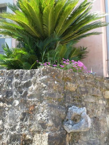 Agroturismo Difesa Del Principe