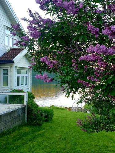 Kr�marvika Lodge