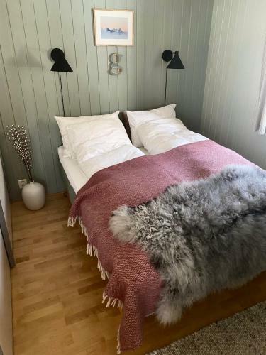 Wilderness House