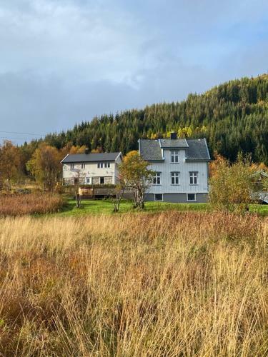 Wilderness House