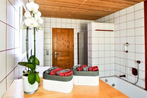 Apartamento Traumwohnung Selb Mit Gro�er Dachterrasse