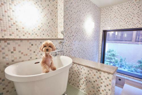 Hotel Le Chien Kyukaruizawa
