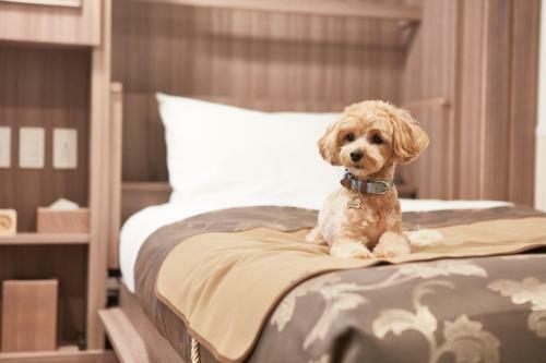 Hotel Le Chien Kyukaruizawa