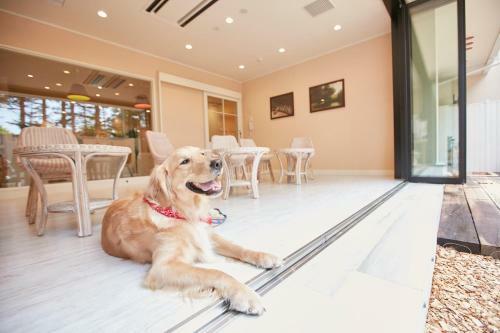 Hotel Le Chien Kyukaruizawa