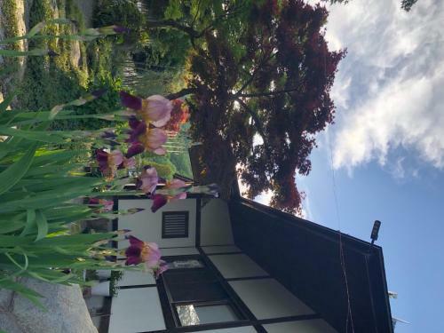 Fukurou No Oyado - Vacation Stay 71258v