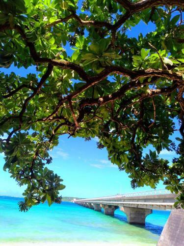 Hotel Fenu Kaji - Vacation Stay 70793v