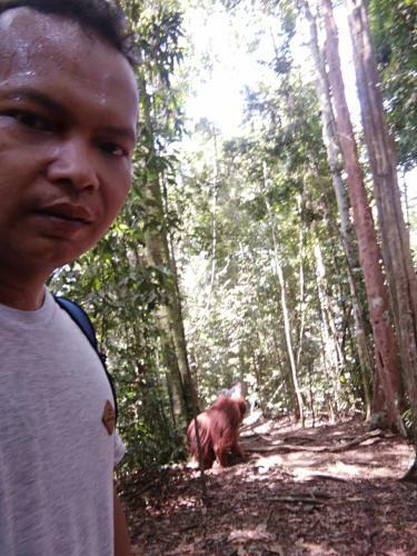 Hostal Bukit Lawang Landak River Guest House