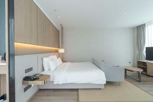 Hotel Novotel Shanghai Qingpu Excellence