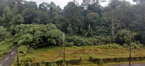 Apartamento Nisargavana Homestay