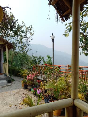Teesta Rangeet Cottages And Thatched Huts