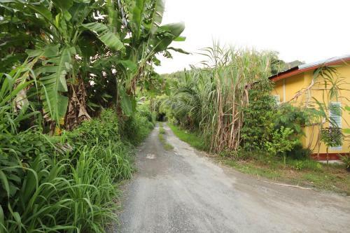 Hotel Oyo 75342 Ban Elephant Blanc Bungalow
