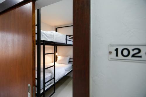 Albergue Tall Tree Kata Phuket