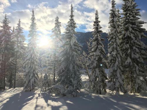 Apartamento Karwendel-lodge