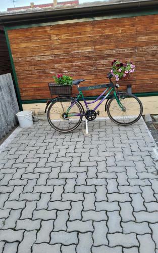 Apartamento Ferienwohnung Am Thayatalradweg