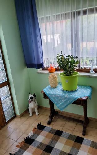 Apartamento Ferienwohnung Am Thayatalradweg
