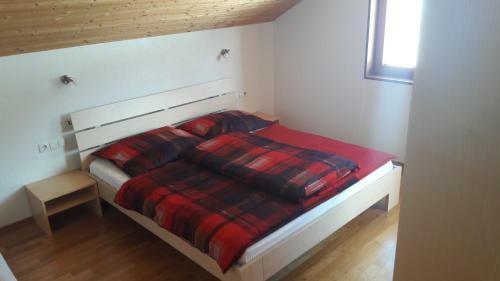 Hostal Haus Erna Schoppernau