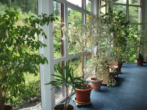Hotel Am Wald - Garni -