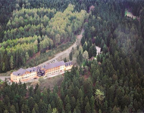 Hotel Am Wald