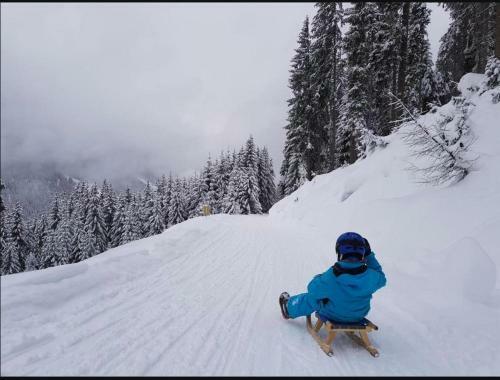Apartamento Lieblingsplatz - Ski In Und Ski Out