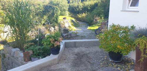 Apartamento Haus Am B�chle